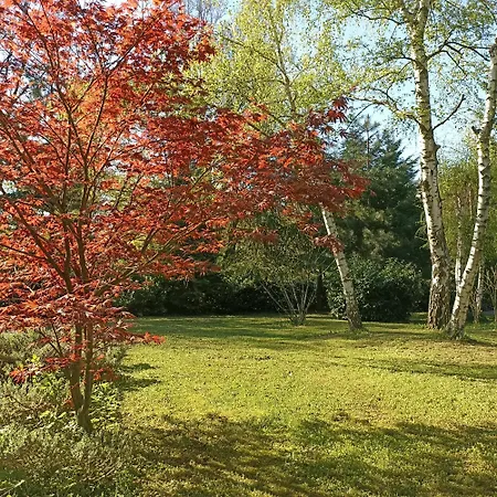 Ranch V8 Kosmaj Apartament *