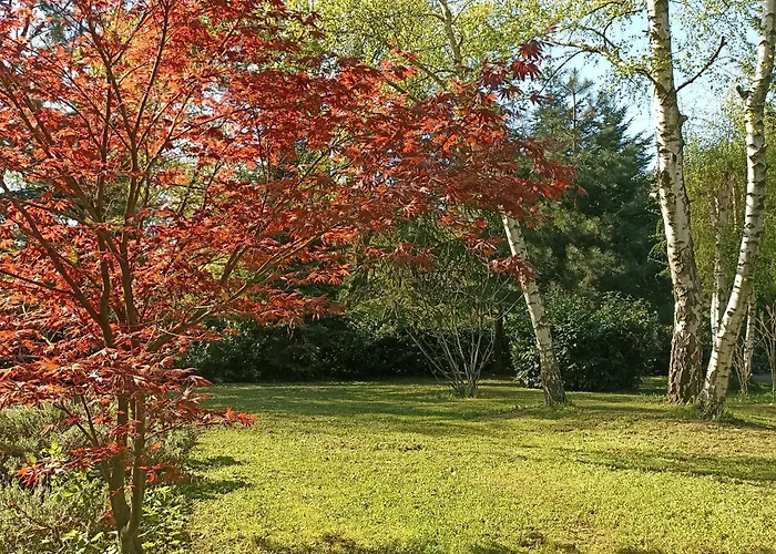 Ranch V8 Kosmaj Apartament *